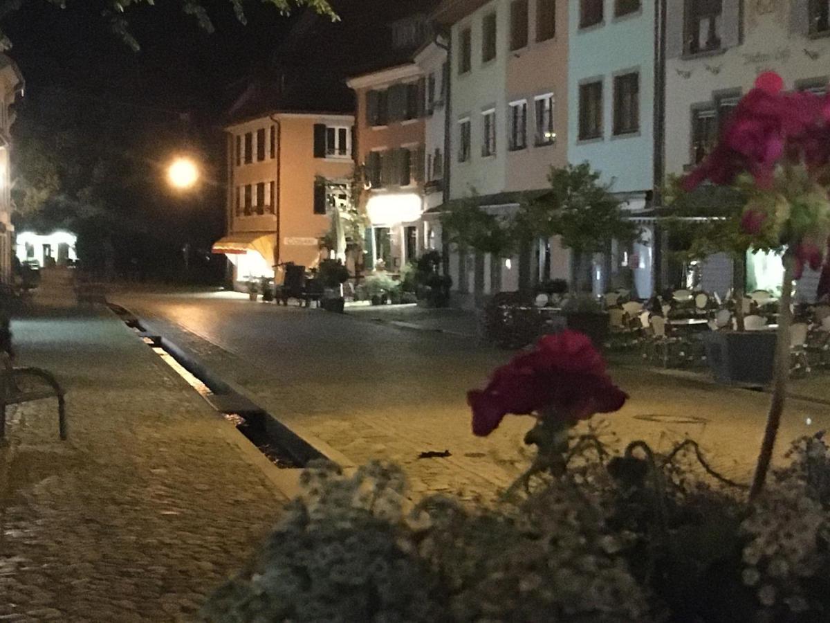 Gasthaus Zum Hirschen ستوفت ام بريسغو المظهر الخارجي الصورة