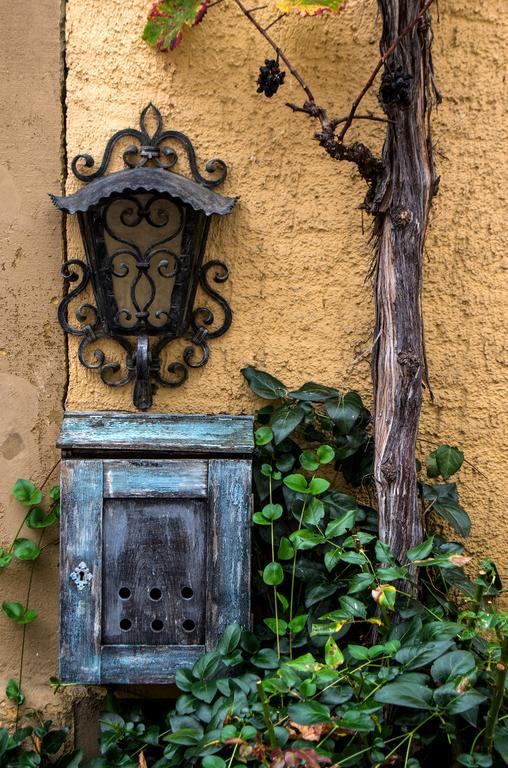 Gasthaus Zum Hirschen ستوفت ام بريسغو المظهر الخارجي الصورة