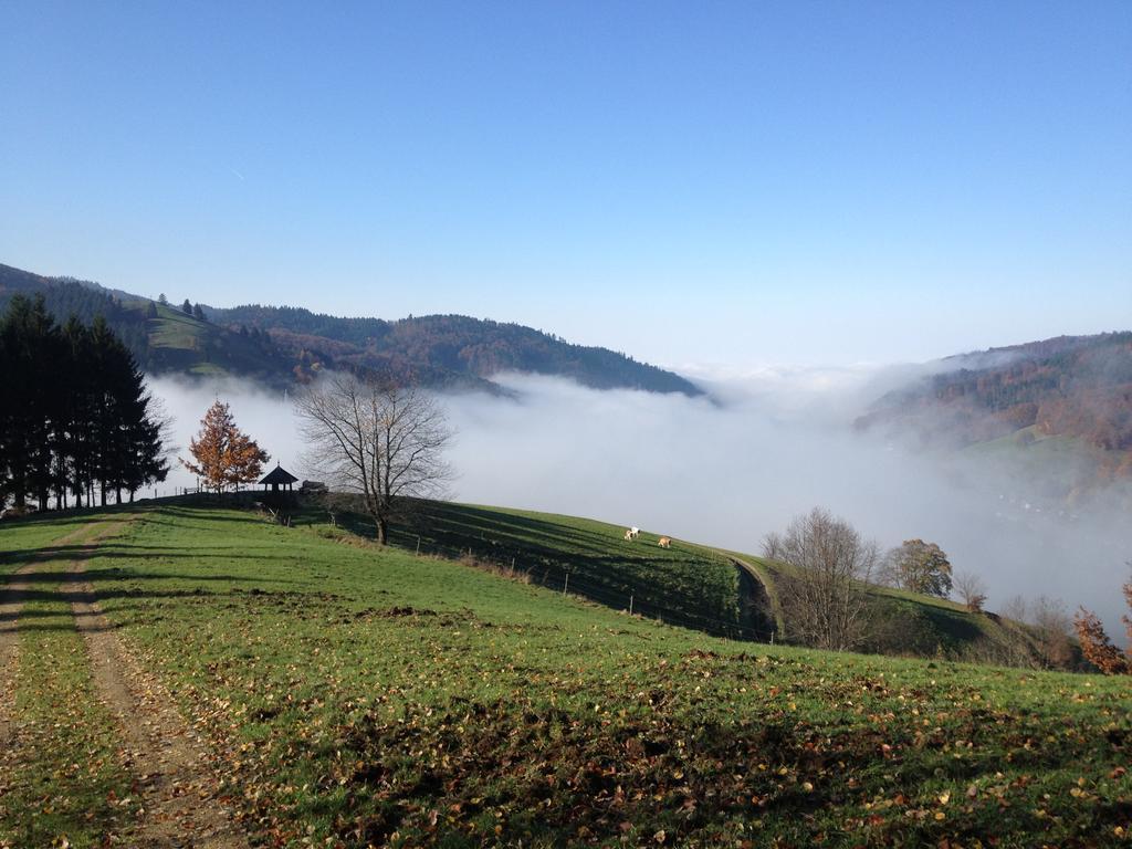 Gasthaus Zum Hirschen ستوفت ام بريسغو المظهر الخارجي الصورة