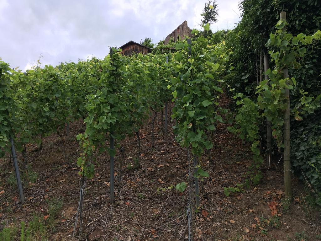 Gasthaus Zum Hirschen ستوفت ام بريسغو المظهر الخارجي الصورة
