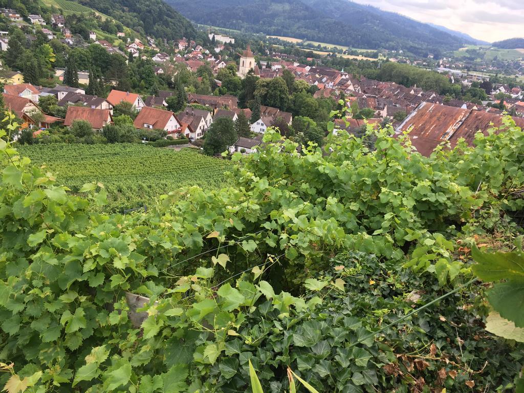 Gasthaus Zum Hirschen ستوفت ام بريسغو المظهر الخارجي الصورة